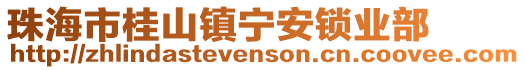 珠海市桂山鎮寧安鎖業部