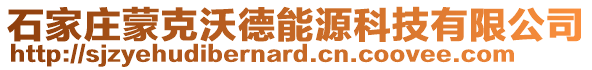 石家莊蒙克沃德能源科技有限公司