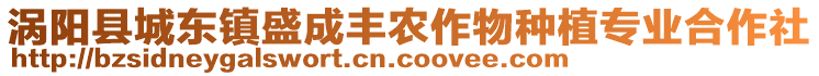 渦陽縣城東鎮(zhèn)盛成豐農(nóng)作物種植專業(yè)合作社