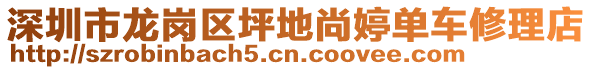 深圳市龙岗区坪地尚婷单车修理店