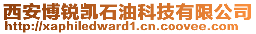 西安博锐凯石油科技有限公司