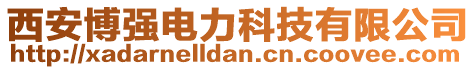 西安博強電力科技有限公司