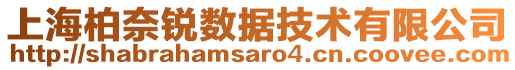 上海柏奈銳數(shù)據(jù)技術(shù)有限公司