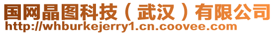 國(guó)網(wǎng)晶圖科技（武漢）有限公司