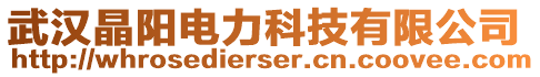 武漢晶陽電力科技有限公司