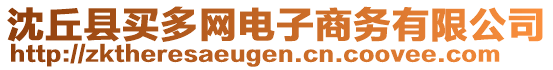 沈丘县买多网电子商务有限公司