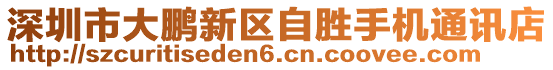 深圳市大鵬新區(qū)自勝手機通訊店