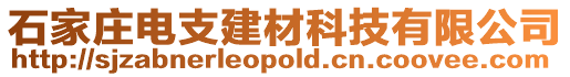 石家莊電支建材科技有限公司