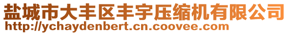 鹽城市大豐區(qū)豐宇壓縮機(jī)有限公司