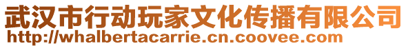 武漢市行動(dòng)玩家文化傳播有限公司