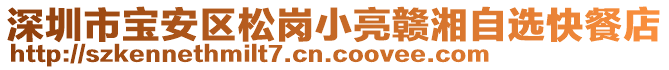 深圳市寶安區(qū)松崗小亮贛湘自選快餐店