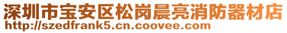 深圳市寶安區(qū)松崗晨亮消防器材店