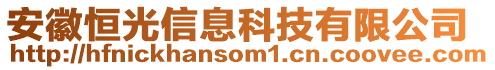 安徽恒光信息科技有限公司