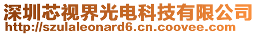 深圳芯視界光電科技有限公司