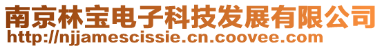 南京林宝电子科技发展有限公司