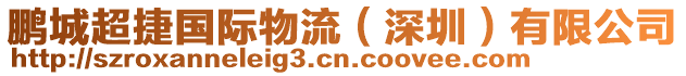 鵬城超捷國際物流（深圳）有限公司