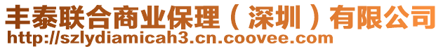 豐泰聯(lián)合商業(yè)保理（深圳）有限公司