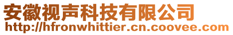 安徽視聲科技有限公司