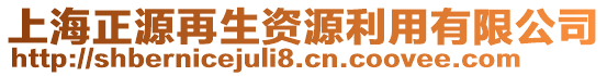 上海正源再生資源利用有限公司