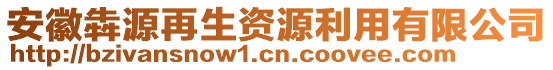 安徽犇源再生资源利用有限公司