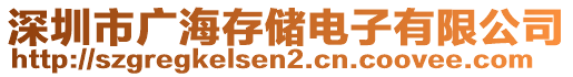 深圳市廣海存儲電子有限公司