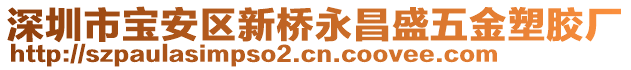 深圳市宝安区新桥永昌盛五金塑胶厂