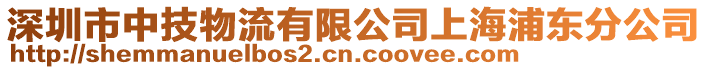 深圳市中技物流有限公司上海浦東分公司