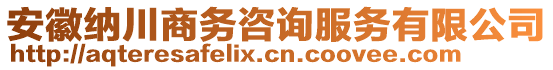 安徽納川商務(wù)咨詢服務(wù)有限公司