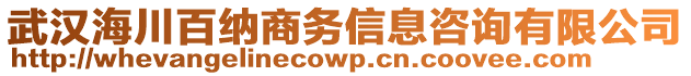 武漢海川百納商務(wù)信息咨詢有限公司