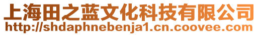 上海田之藍(lán)文化科技有限公司