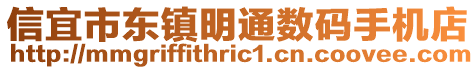 信宜市东镇明通数码手机店