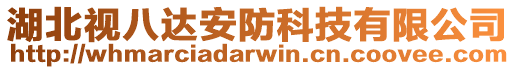 湖北視八達安防科技有限公司