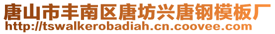 唐山市豐南區(qū)唐坊興唐鋼模板廠