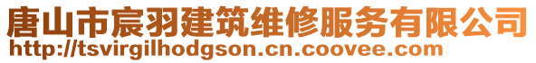 唐山市宸羽建筑維修服務有限公司