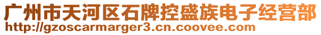 廣州市天河區(qū)石牌控盛族電子經(jīng)營(yíng)部