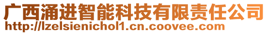 广西涌进智能科技有限责任公司