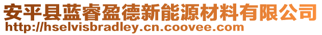 安平縣藍(lán)睿盈德新能源材料有限公司