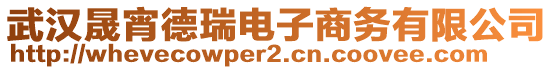 武漢晟宵德瑞電子商務(wù)有限公司