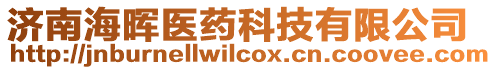 濟(jì)南海暉醫(yī)藥科技有限公司