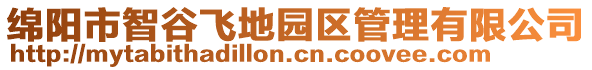 绵阳市智谷飞地园区管理有限公司