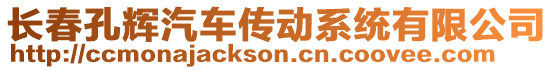 長春孔輝汽車傳動系統(tǒng)有限公司