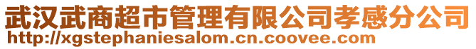 武汉武商超市管理有限公司孝感分公司