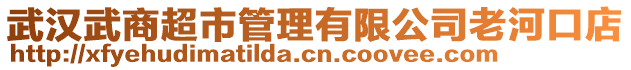 武漢武商超市管理有限公司老河口店