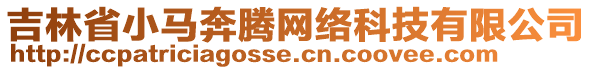 吉林省小馬奔騰網絡科技有限公司