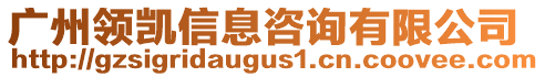 廣州領(lǐng)凱信息咨詢有限公司