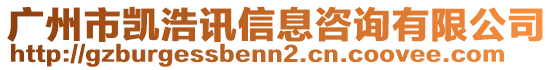 廣州市凱浩訊信息咨詢有限公司