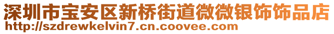 深圳市寶安區(qū)新橋街道微微銀飾飾品店