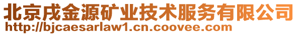 北京戌金源礦業(yè)技術(shù)服務(wù)有限公司