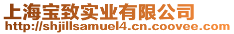 上海寶致實(shí)業(yè)有限公司