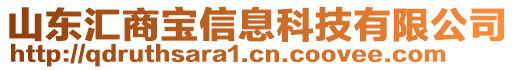 山东汇商宝信息科技有限公司